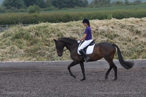 ISIS Dressage Challenge 2008